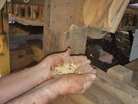 John N catches the first flour to be ground first flour