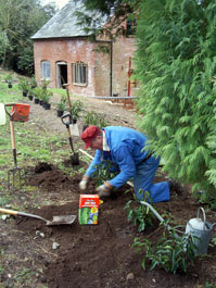 Derek plants a new hedge