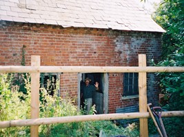 Almost enveloped in weeds