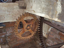 bevel gear